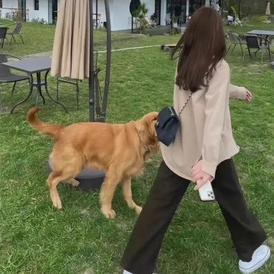 哥哥负妹